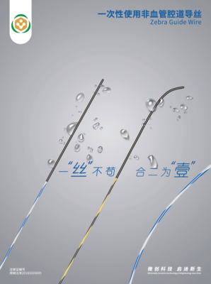一次性使用非血管腔道导丝