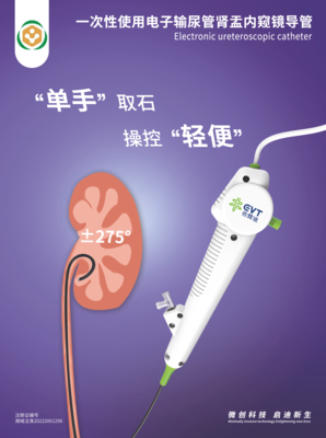 一次性使用电子输尿管肾盂内窥镜导管