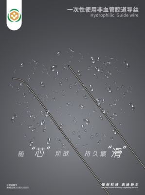 一次性使用非血管腔道导丝