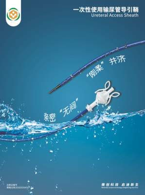 一次性使用输尿管道引鞘